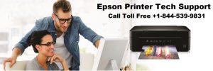 Epson Printer Support